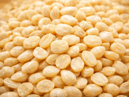 Guar Gum Refined Split